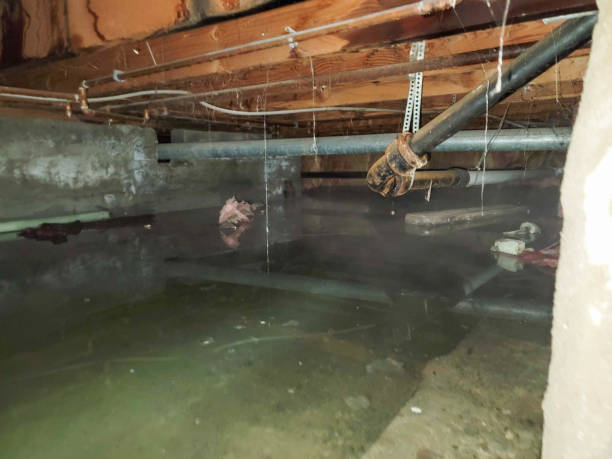 Best Professional water damage repair  in Oil City, PA