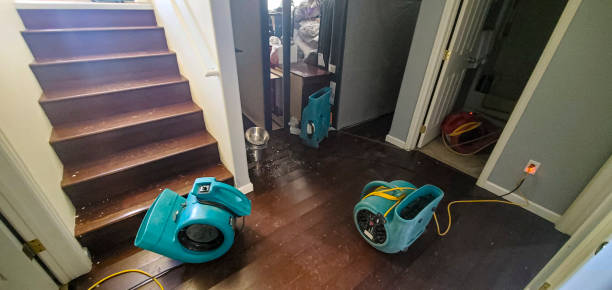 Best Ceiling water damage repair  in Oil City, PA