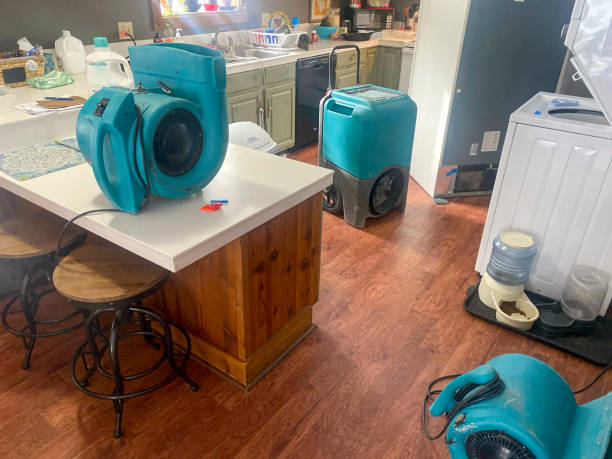 Best Basement water damage restoration  in Oil City, PA