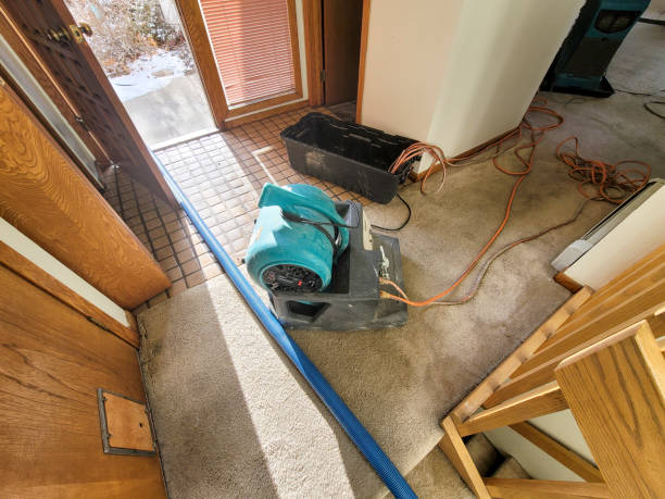 Best Water damage restoration near me  in Oil City, PA