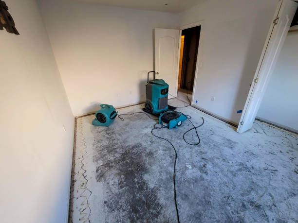 Best Fire Damage Restoration  in Oil City, PA
