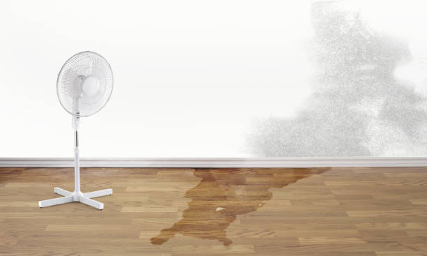 Best Flood restoration services  in Oil City, PA