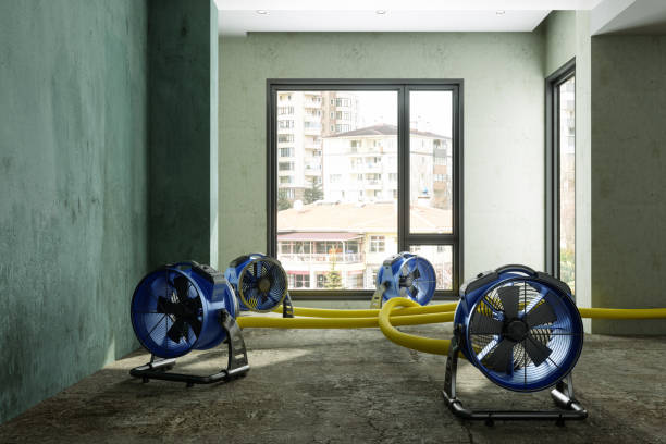 Best Water damage contractors near me  in Oil City, PA